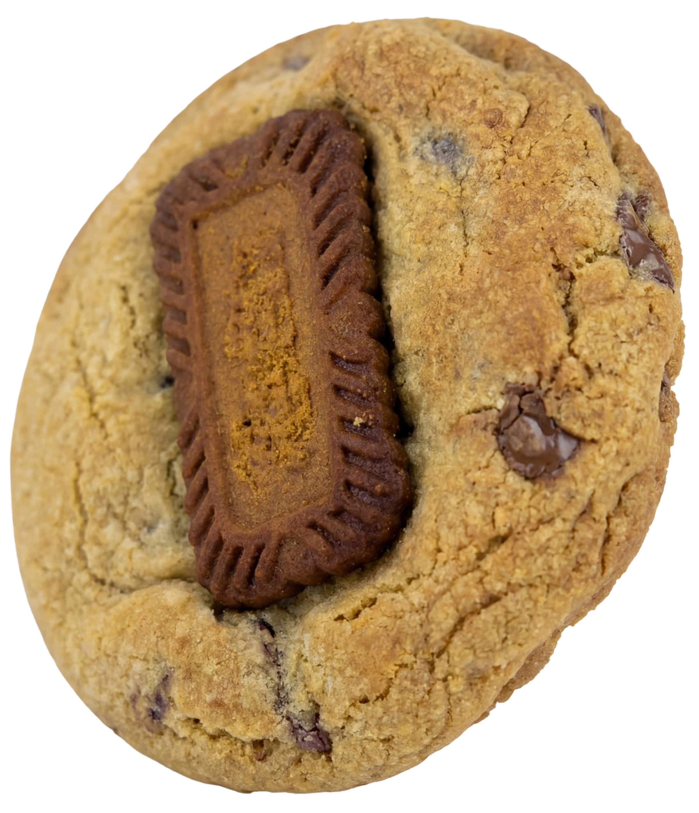 Crumbly Lotus®